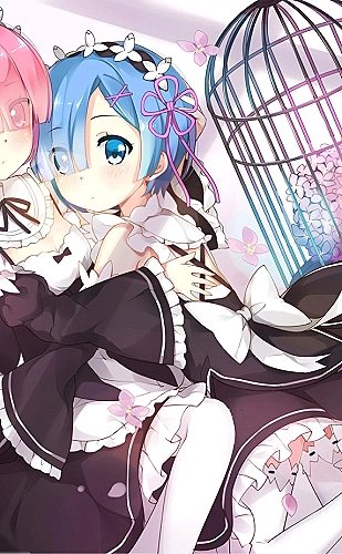 老司机漫画治愈生活作品《猫与四季食堂》封面